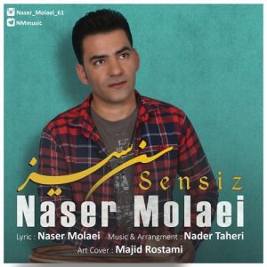 دانلود آهنگ ترکی ناصر مولایی بنام سنسیز